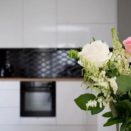 Apartman Oli&joly Rybacka 11b Kołobrzeg